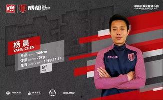 杨晨爆料王小羽原视频,王小羽原视频背后的惊人真相  第3张