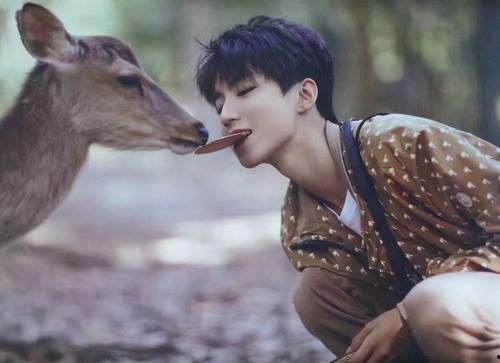 圈内人天涯爆料王俊凯,揭秘明星背后的真实故事 第2张 圈内人天涯爆料王俊凯,揭秘明星背后的真实故事 第2张